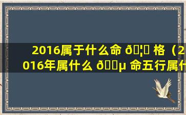 2016属于什么命 🦈 格（2016年属什么 🌵 命五行属什么）